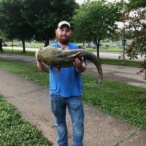 Meet your Posher, Lee